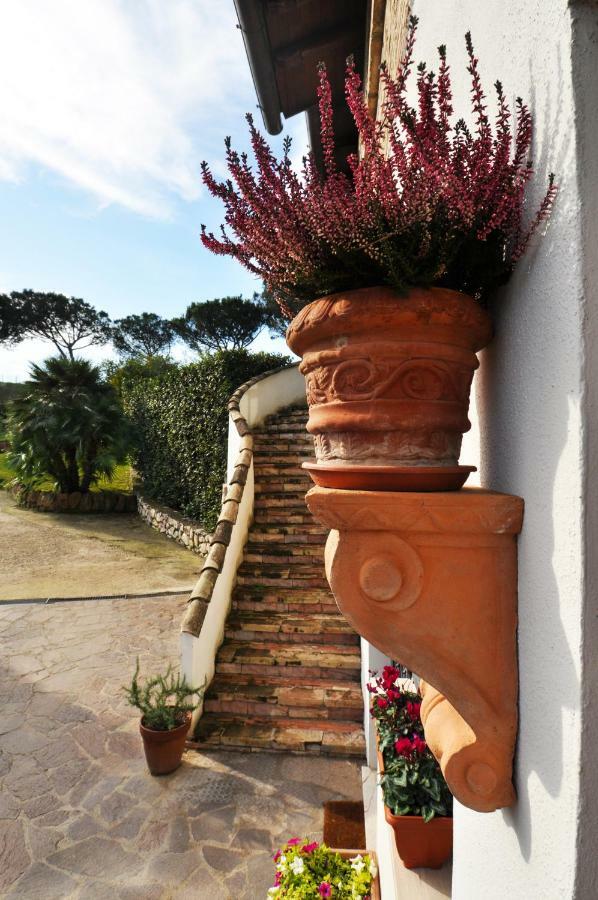 Pepe Guest House Roma Ngoại thất bức ảnh