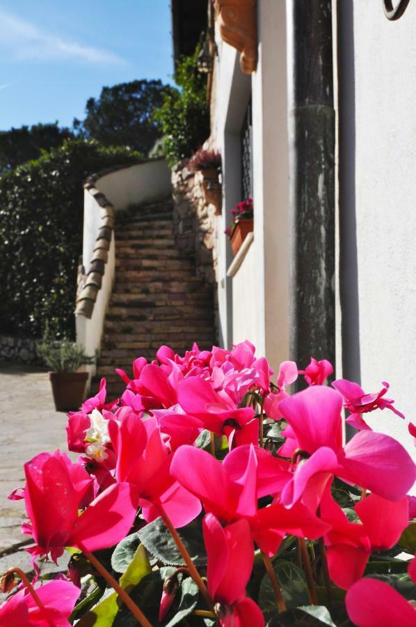 Pepe Guest House Roma Ngoại thất bức ảnh